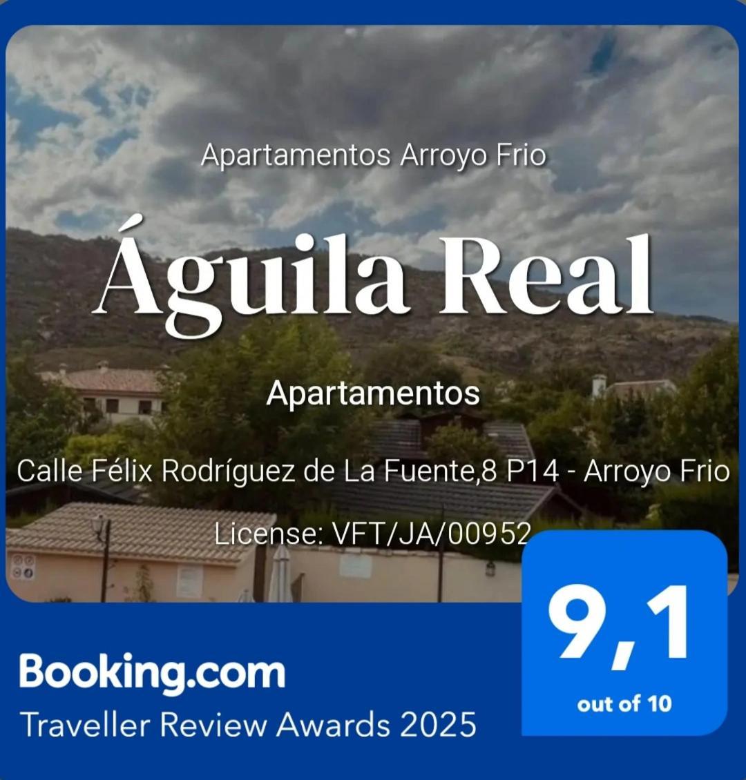Aguila Real Apartment Arroyo Frio